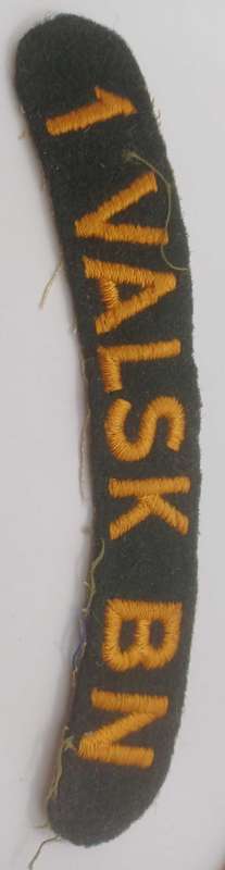 Origional 1 Parachute insignia from Kol. Leon Groenewald in good Condition