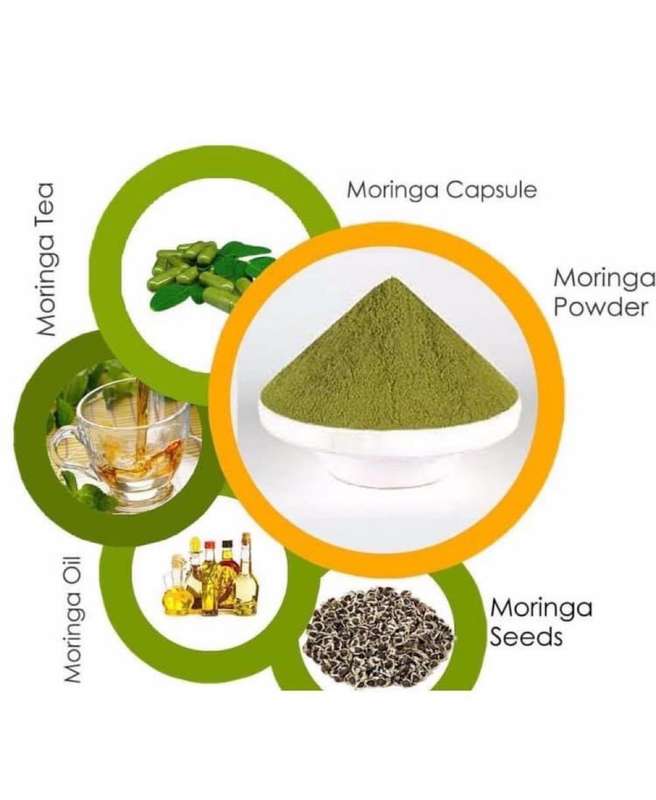 Moringa tea bags