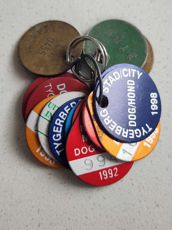 Dog license dics- 90s to 2000- Goodwood & Tygerberg