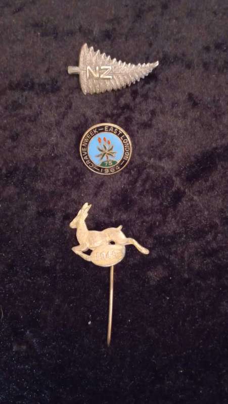 Vintage South African Rugby badges brooches lapel pin and New Zealand Fern brooch