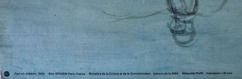Mounted 1979 Pablo Picasso `Grand Palais` Poster