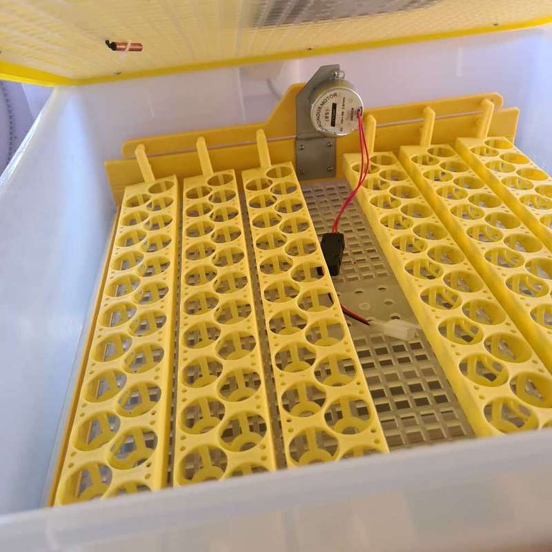 56 Egg Incubator + 12 Volt (Poultry business)