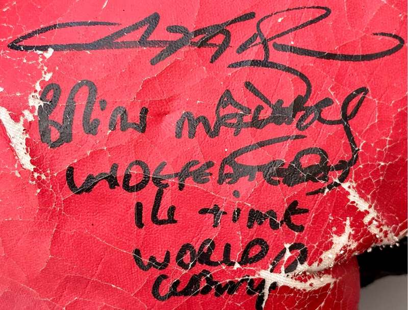 Vintage Autographed Boxing Gloves (Includes Jacob `Baby Jake` Matlala)