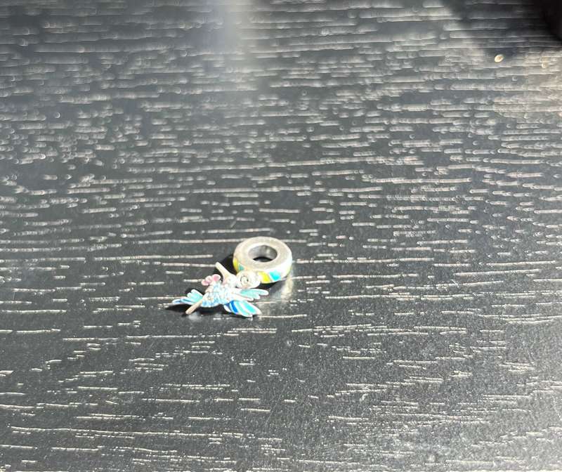 Hummingbird Charm