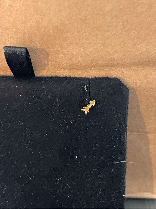 9ct Yellow Gold Flatback Earring