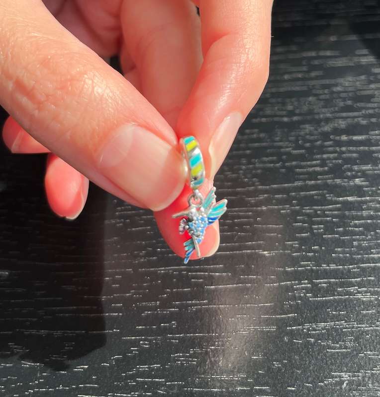 Hummingbird Charm