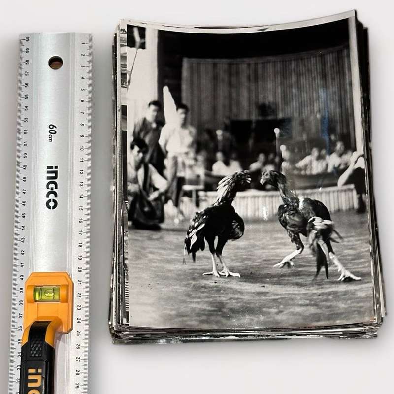 105 Large Vintage B&W Photographs / Prints circa 1960s