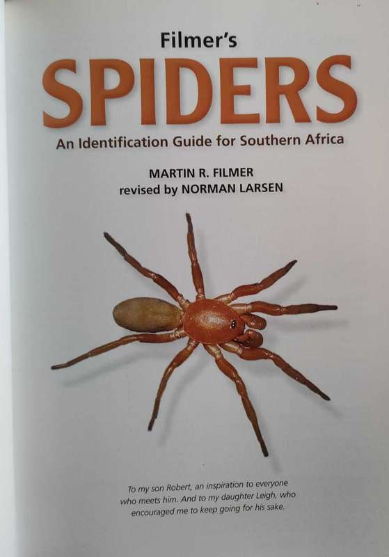 Spiders -an identification guide for Southern Africa