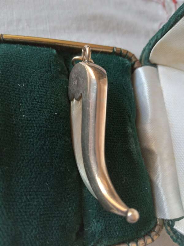 Vintage 9ct Gold And Tiger`s Claw Pendant
