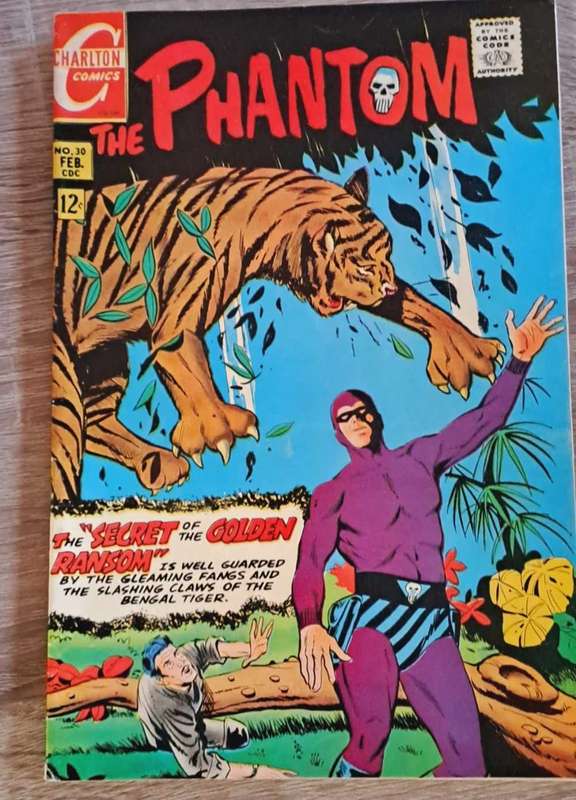 *Rare* Phantom Comics - 17 comics