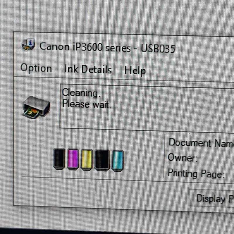 Canon ip3600 printer