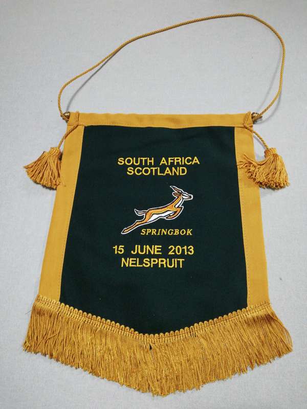 Springboks vs Scotland 15.06.2013