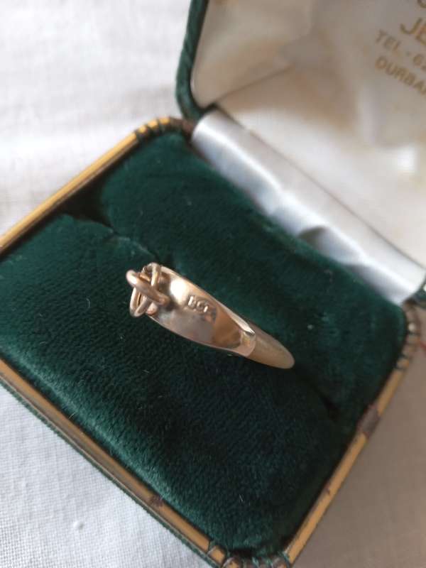 Vintage 9ct Gold And Tiger`s Claw Pendant