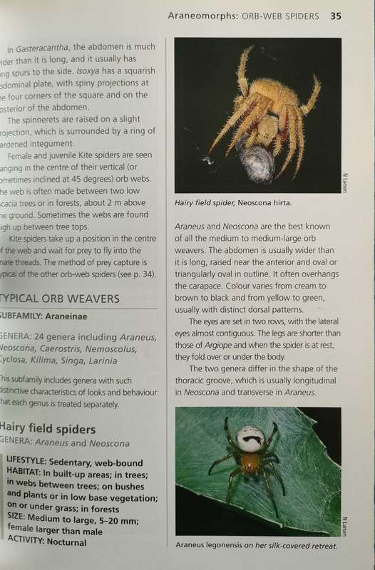 Spiders -an identification guide for Southern Africa