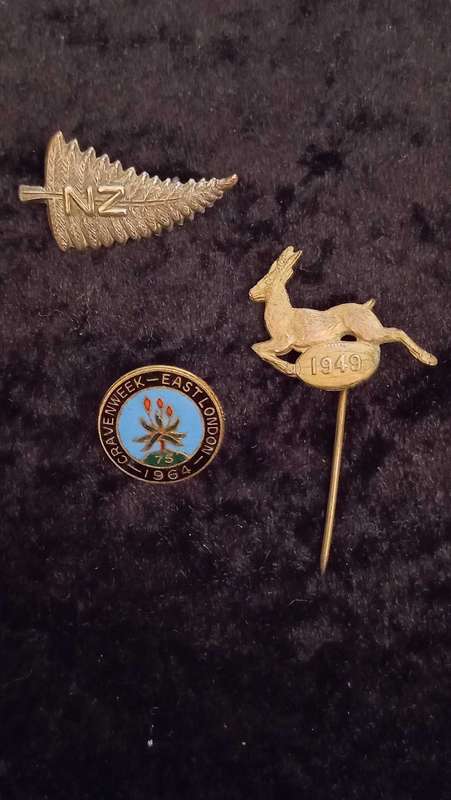 Vintage South African Rugby badges brooches lapel pin and New Zealand Fern brooch