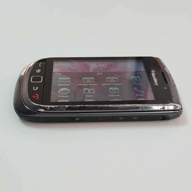 Blackberry Torch