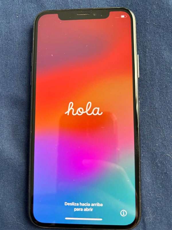 Apple 10 XS