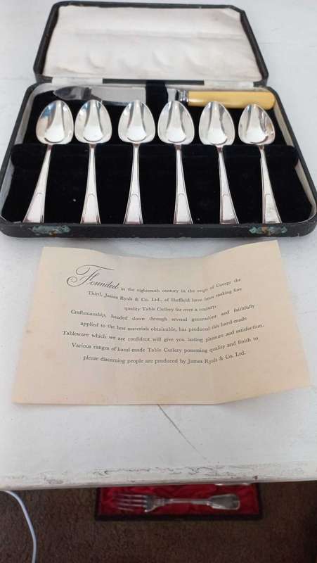 Vintage James Ryals silver plated Grapefruit set