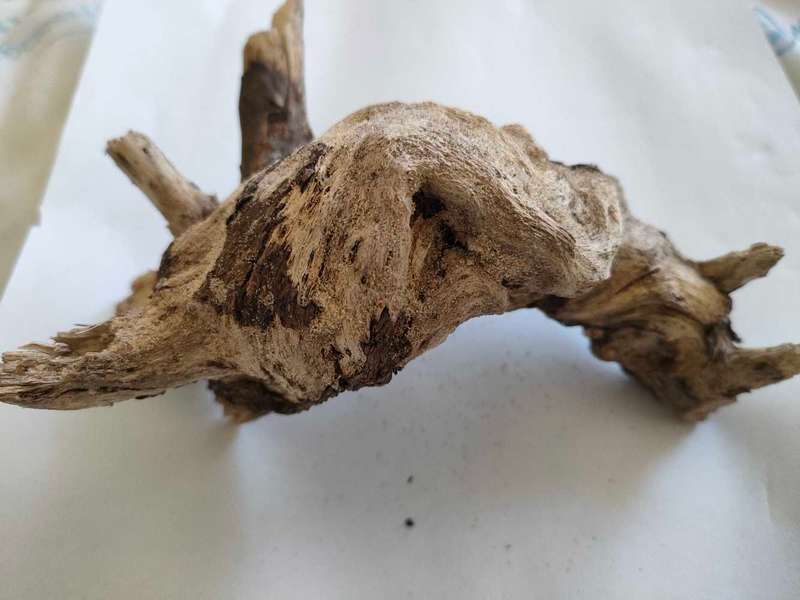Driftwood