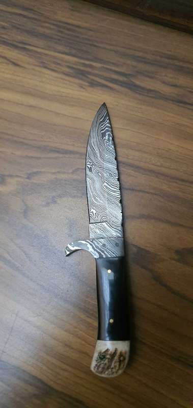Beautiful Demascus display Knife with display and sheath