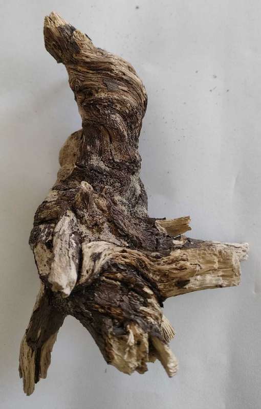 Driftwood