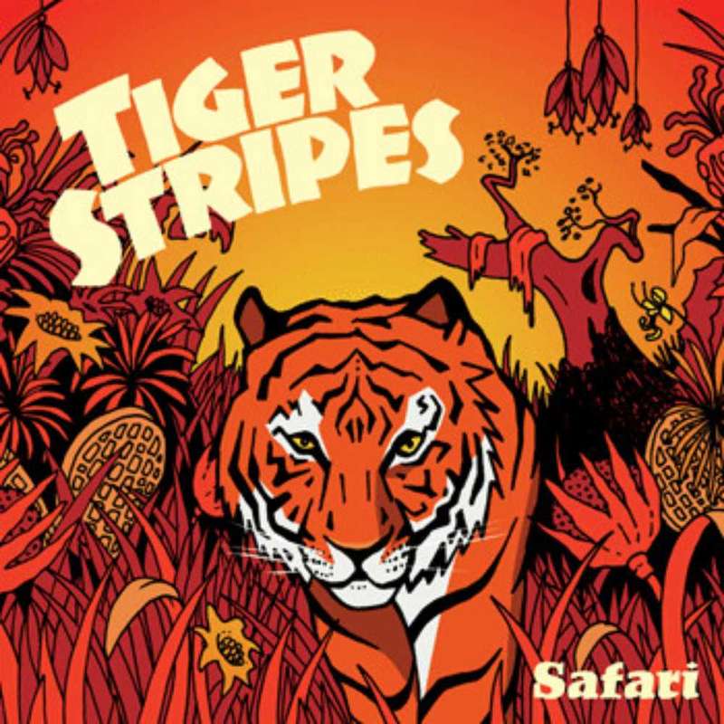 Tiger Stripes Safari CD Album