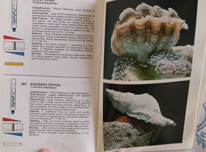Freshwater and Marine Aquarium Fishes