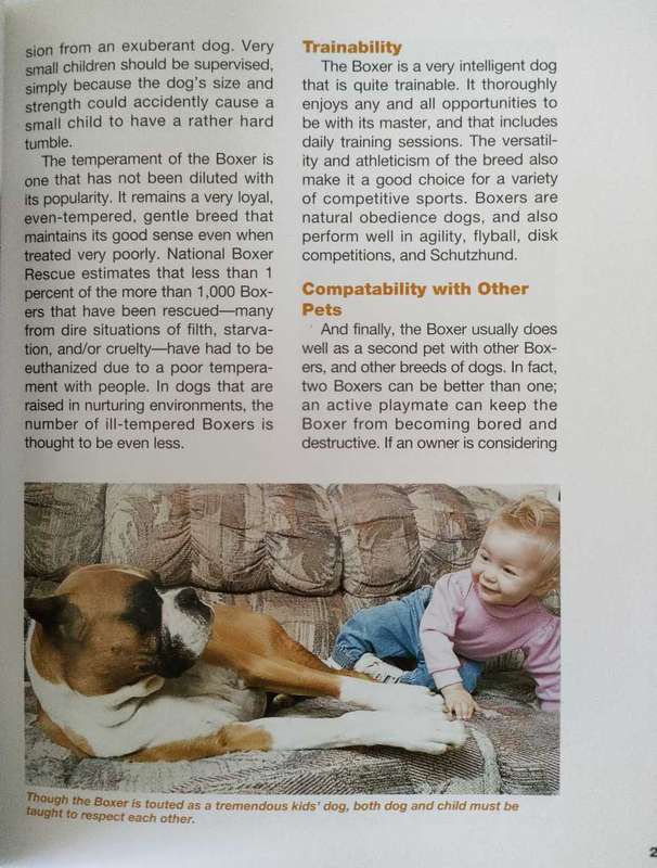 The Boxer Handbook