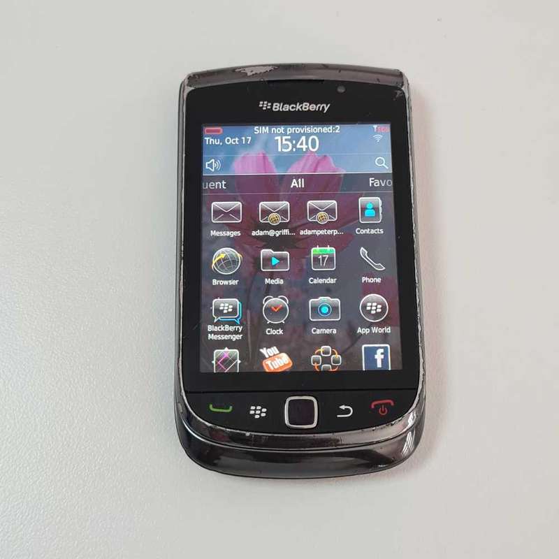 Blackberry Torch