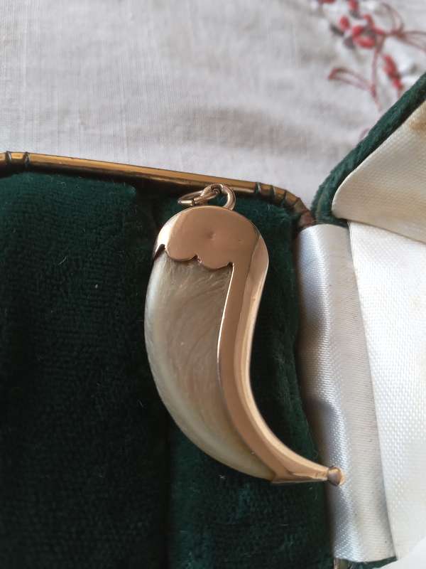 Vintage 9ct Gold And Tiger`s Claw Pendant