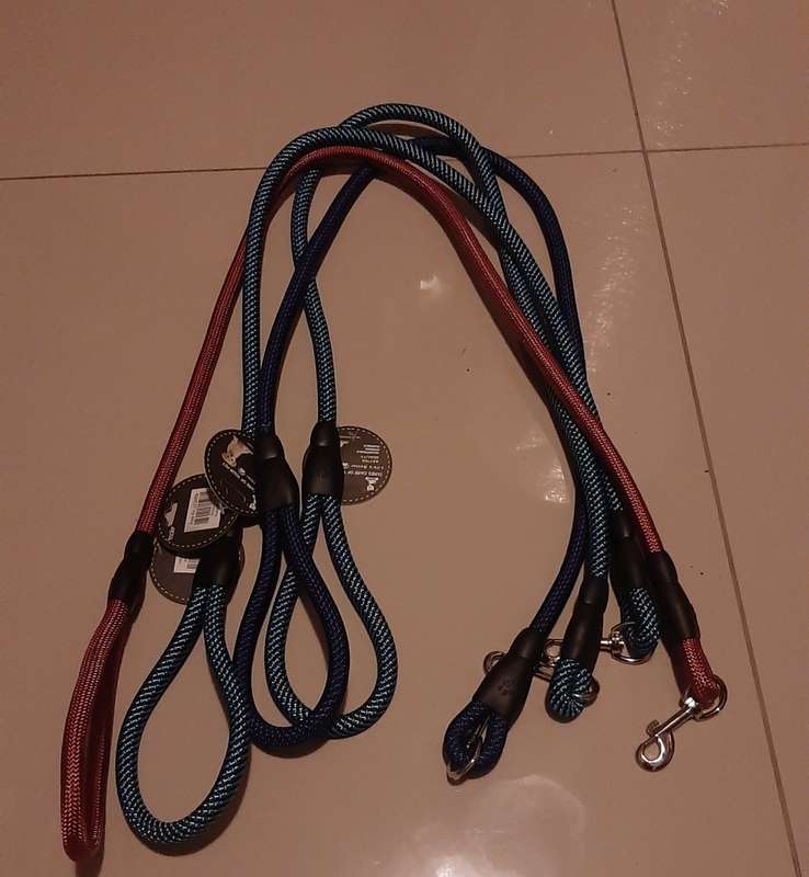 Pet leash