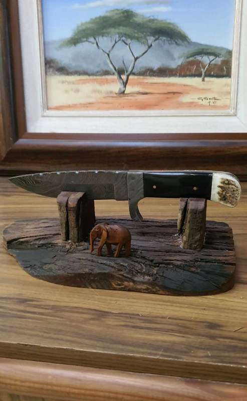Beautiful Demascus display Knife with display and sheath