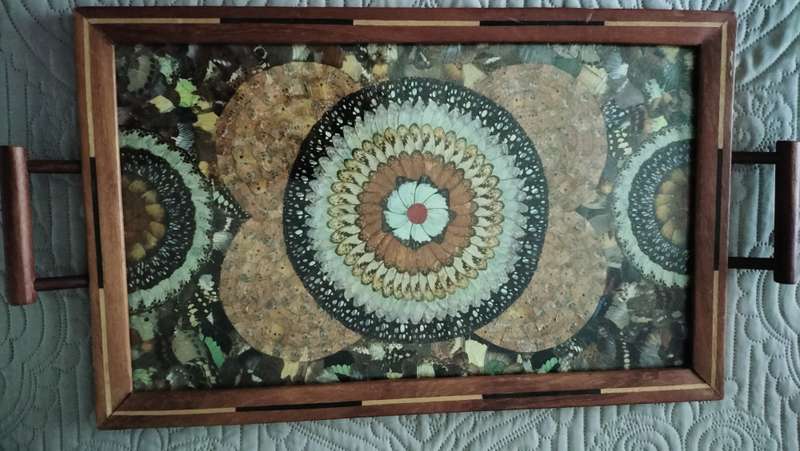Beautiful Brazilian Butterfly Tray C 1940