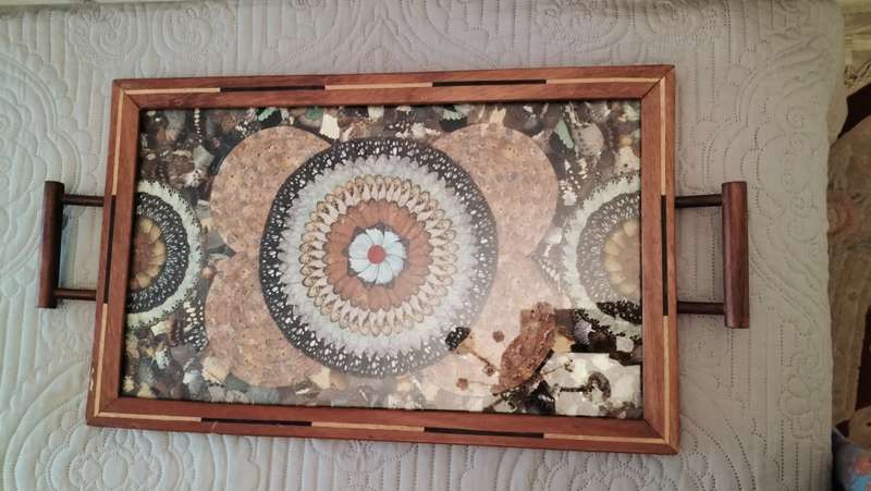 Beautiful Brazilian Butterfly Tray C 1940