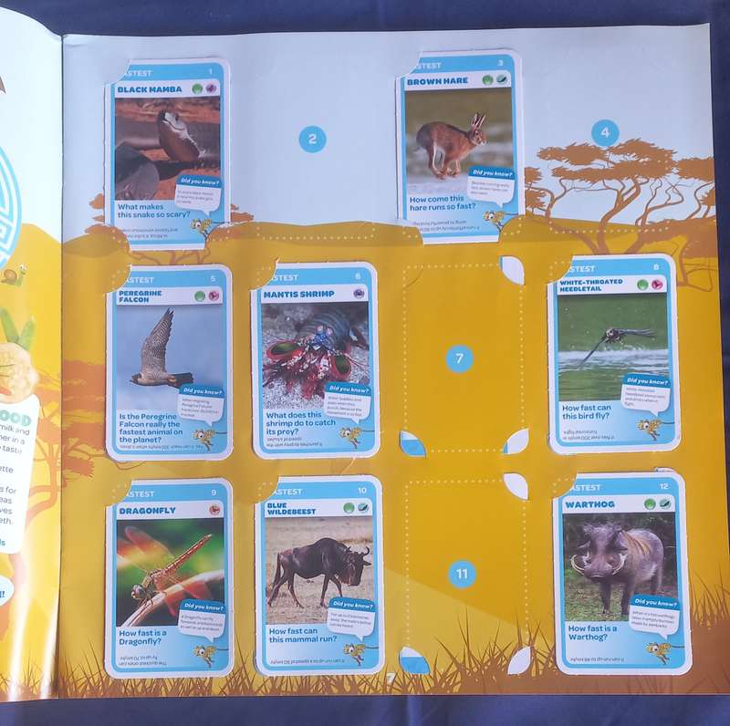 Pick n Pay Super Animals album with cards (not complete)