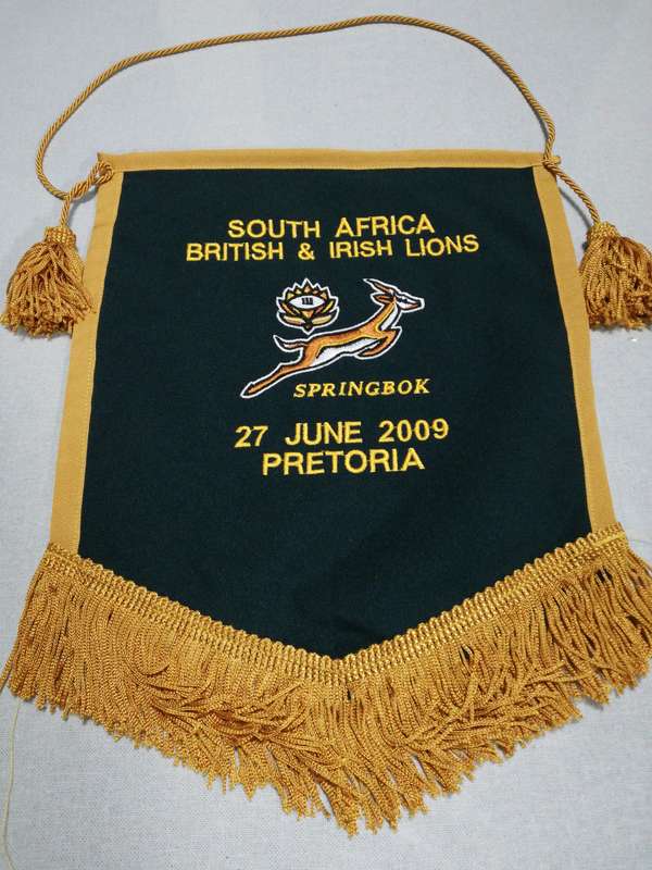 Springboks vs British Lions 2009