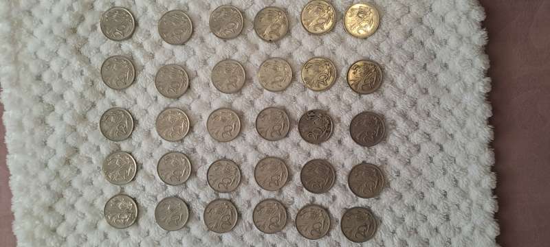 Old SA coins