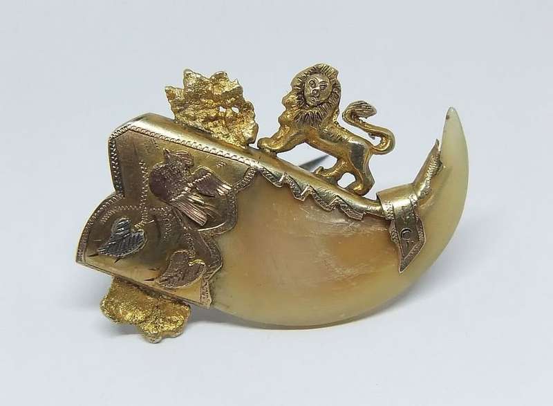 WOW !! AN AMAZING ANTIQUE VICTORIAN GENUINE LIONS` CLAW BROOCH WITH MIXED GOLD FITTING !!