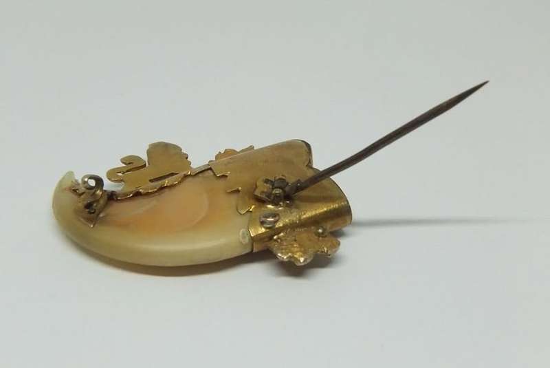 WOW !! AN AMAZING ANTIQUE VICTORIAN GENUINE LIONS` CLAW BROOCH WITH MIXED GOLD FITTING !!