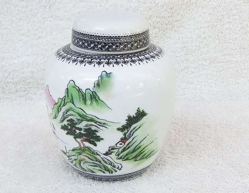 Vintage Chinese Porcelain Ginger Jar with Detailed Design