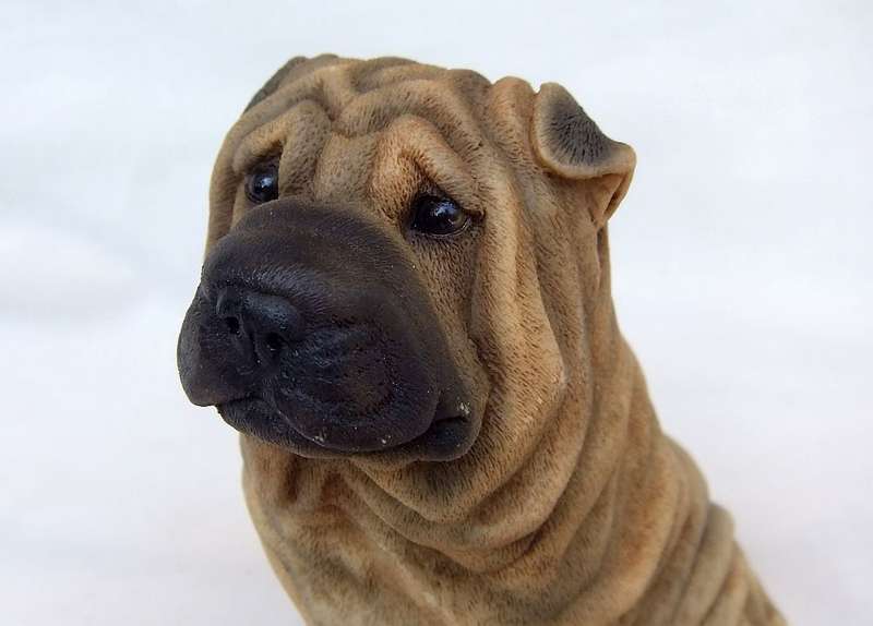 AN ADORABLE DETAILED VINTAGE SHAR-PEI FIGURINE BY CASTAGNA OF ITALY WITH ORIGINAL BOX DATED 1988