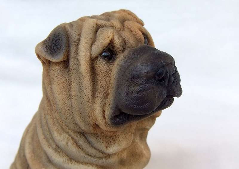 AN ADORABLE DETAILED VINTAGE SHAR-PEI FIGURINE BY CASTAGNA OF ITALY WITH ORIGINAL BOX DATED 1988