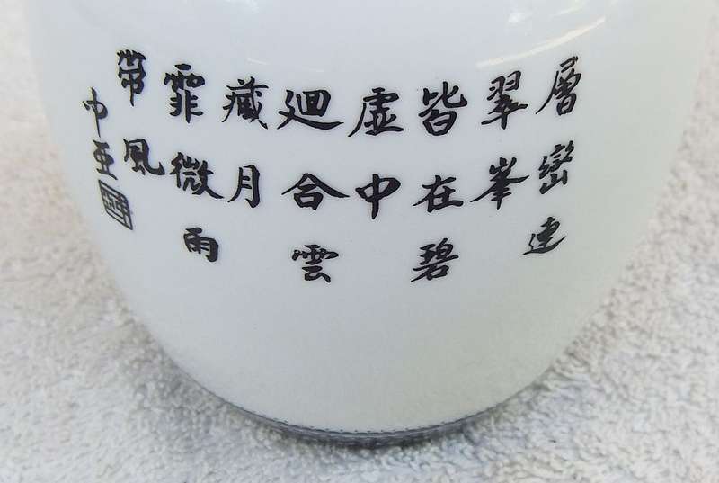 Vintage Chinese Porcelain Ginger Jar with Detailed Design