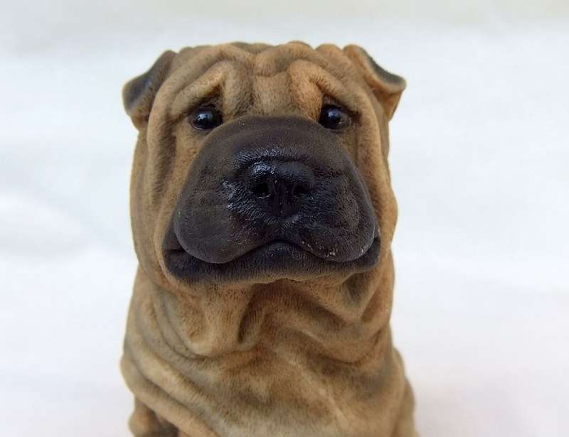 AN ADORABLE DETAILED VINTAGE SHAR-PEI FIGURINE BY CASTAGNA OF ITALY WITH ORIGINAL BOX DATED 1988