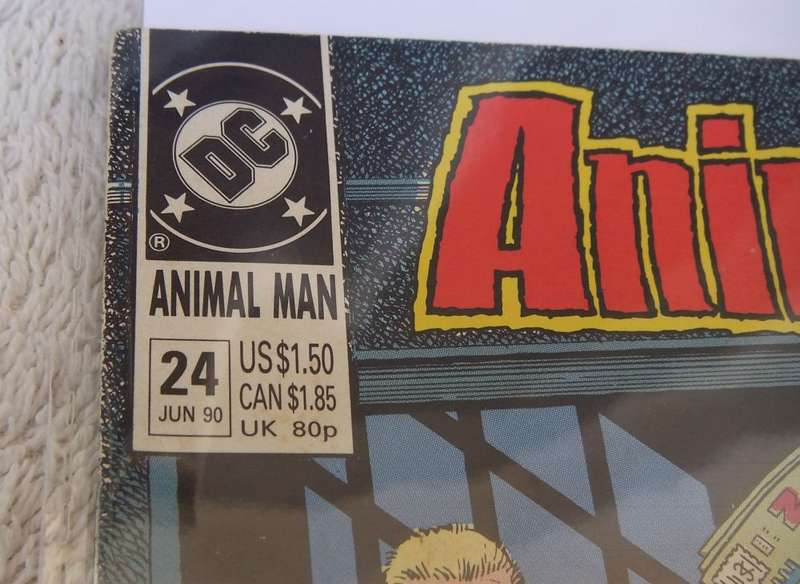1990 DC COMICS - ANIMAL MAN #24