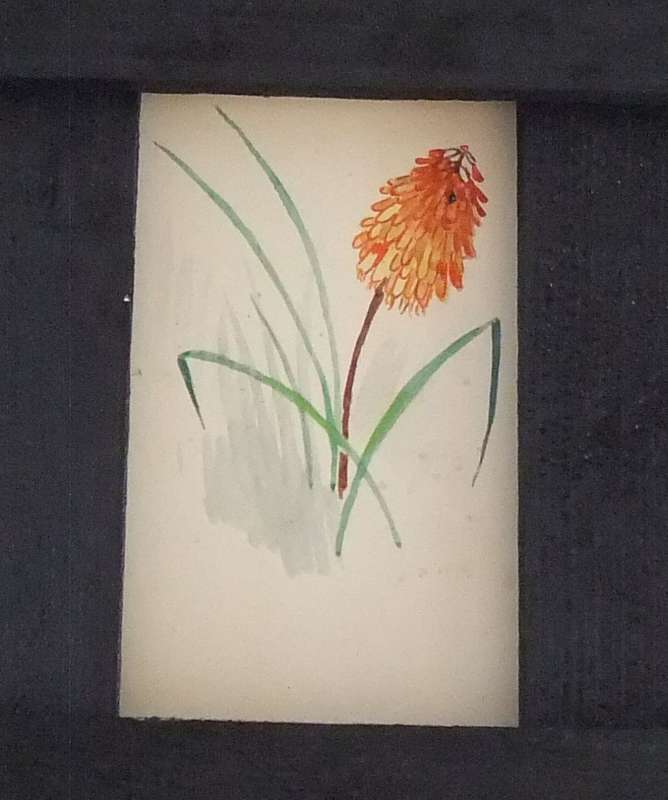 ELEVEN ORIGINAL SMALL FLORAL WATERCOLOR PAINTINGS BY HEDWIG BRECHER EIBUSCHITZ - UNFRAMED