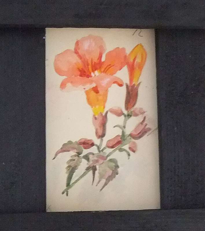 ELEVEN ORIGINAL SMALL FLORAL WATERCOLOR PAINTINGS BY HEDWIG BRECHER EIBUSCHITZ - UNFRAMED