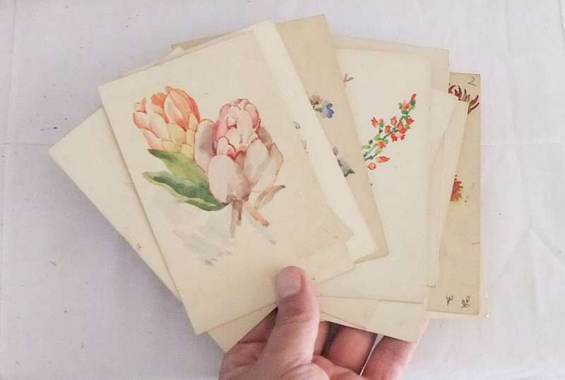 ELEVEN ORIGINAL SMALL FLORAL WATERCOLOR PAINTINGS BY HEDWIG BRECHER EIBUSCHITZ - UNFRAMED