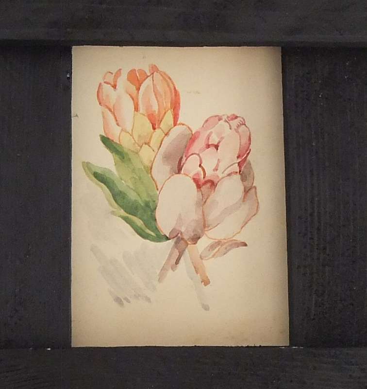 ELEVEN ORIGINAL SMALL FLORAL WATERCOLOR PAINTINGS BY HEDWIG BRECHER EIBUSCHITZ - UNFRAMED