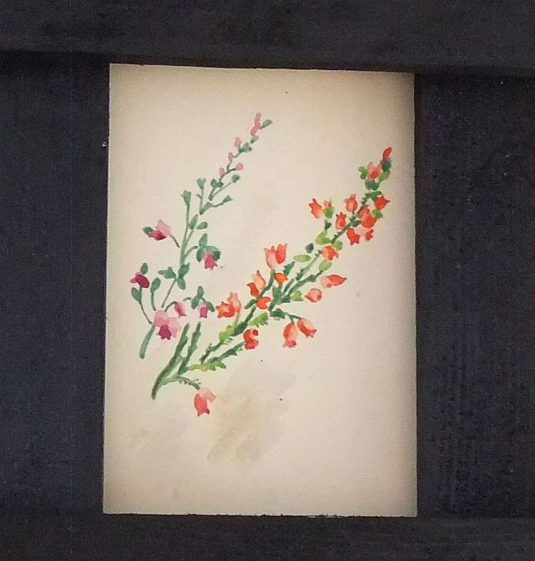 ELEVEN ORIGINAL SMALL FLORAL WATERCOLOR PAINTINGS BY HEDWIG BRECHER EIBUSCHITZ - UNFRAMED